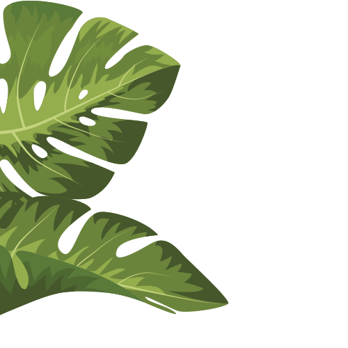 jungle leaf